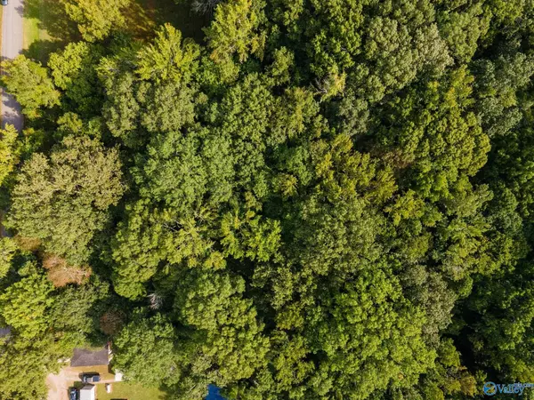 New Market, AL 35761,5.89 acres Joe Quick Road