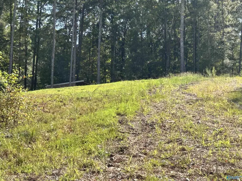 830 Dyar Drive, Boaz, AL 35956