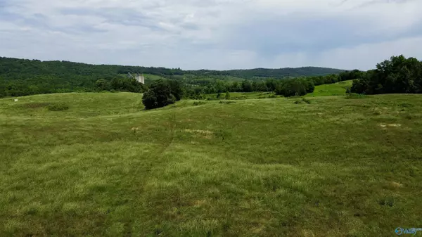 Attalla, AL 35954,185 acres Carnes Chapel Road