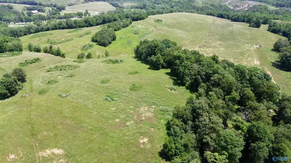 Attalla, AL 35954,185 acres Carnes Chapel Road