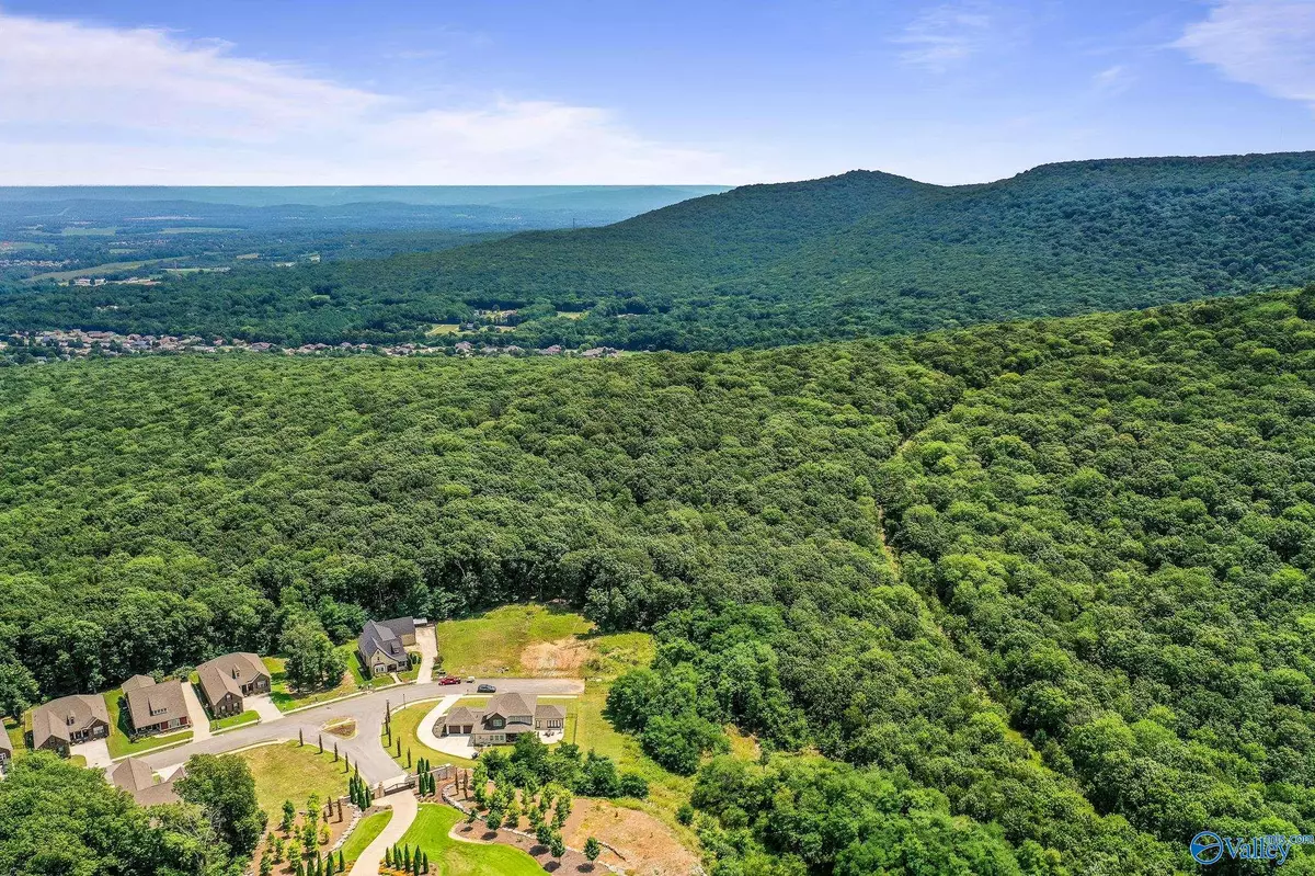 Huntsville, AL 35811,35.5 Acres Hawks Way