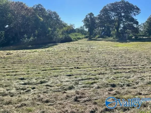 Boaz, AL 35956,2 acres Church Street