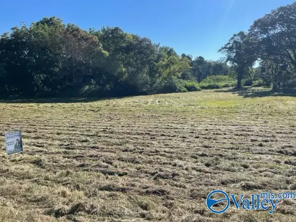 Boaz, AL 35956,2 acres Church Street