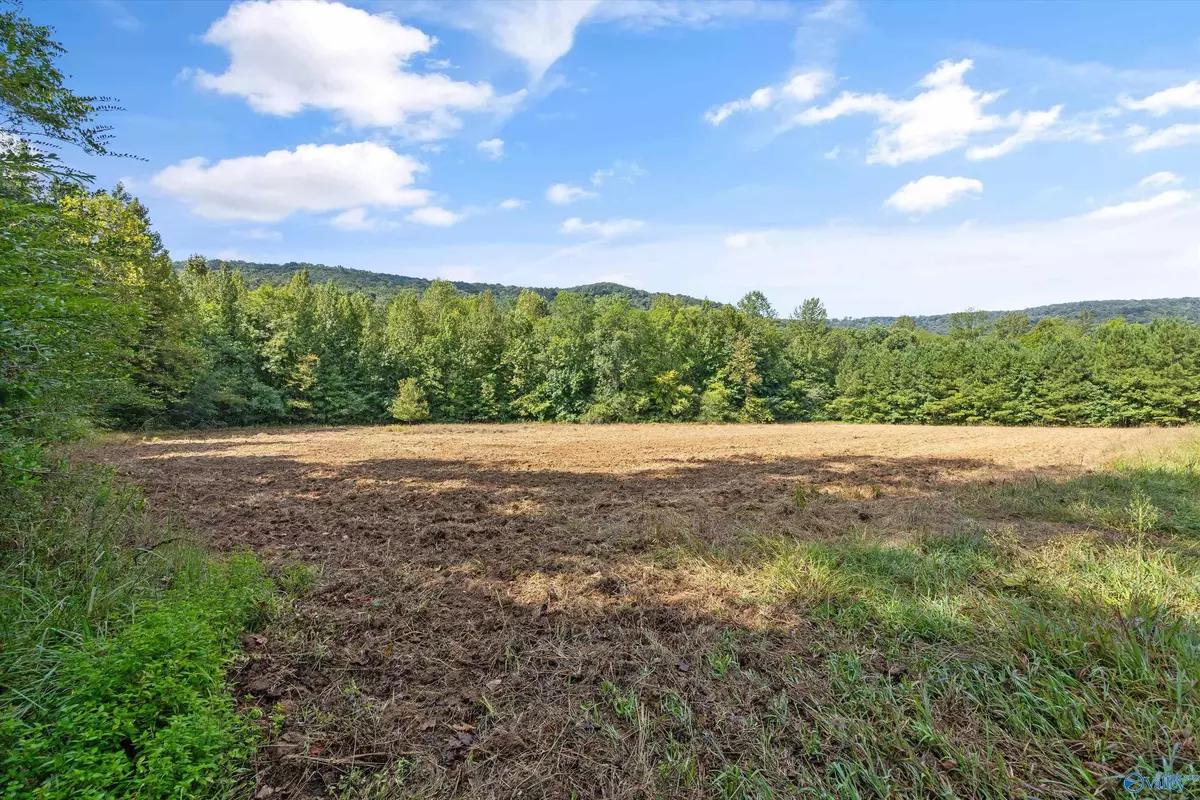 Hollytree, AL 35751,3818 -5 County Road 4 #Tract 5