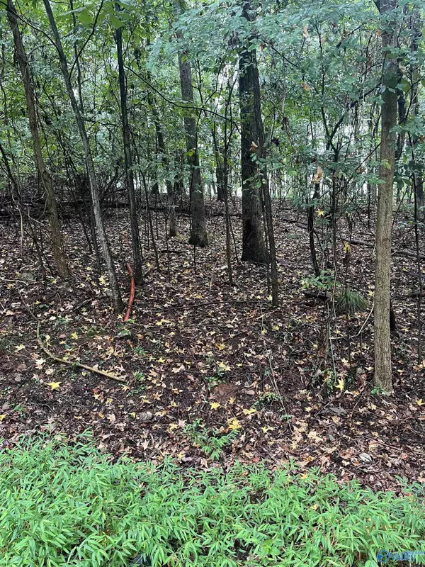 Scottsboro, AL 35769,326 Monte Sano Drive