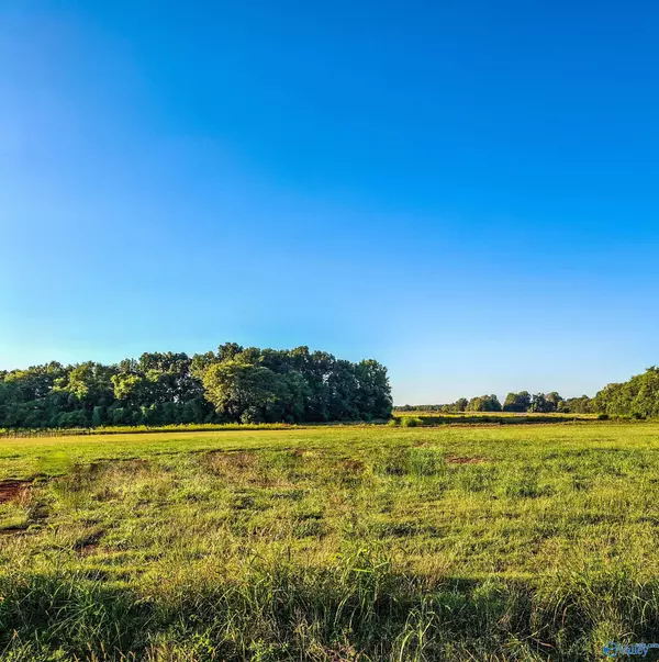 215 Pike Parvin Road,  Meridianville,  AL 35759