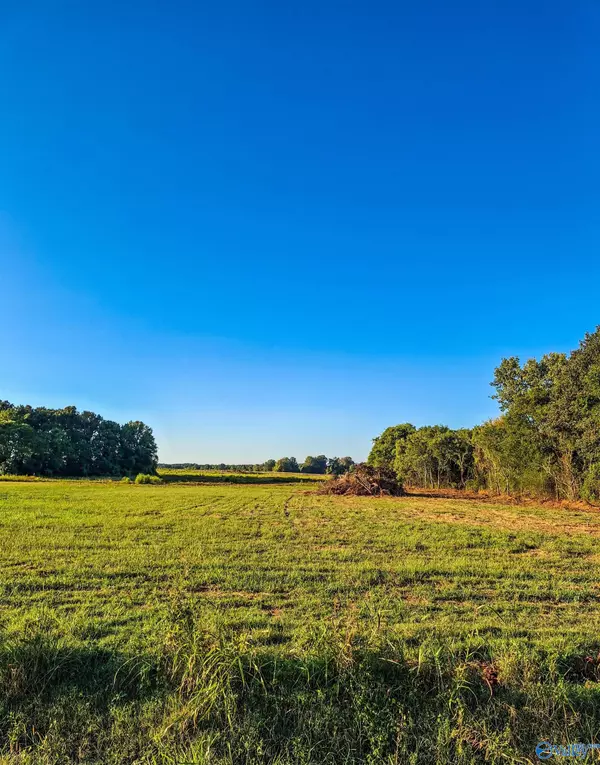 223 Pike Parvin Road,  Meridianville,  AL 35759