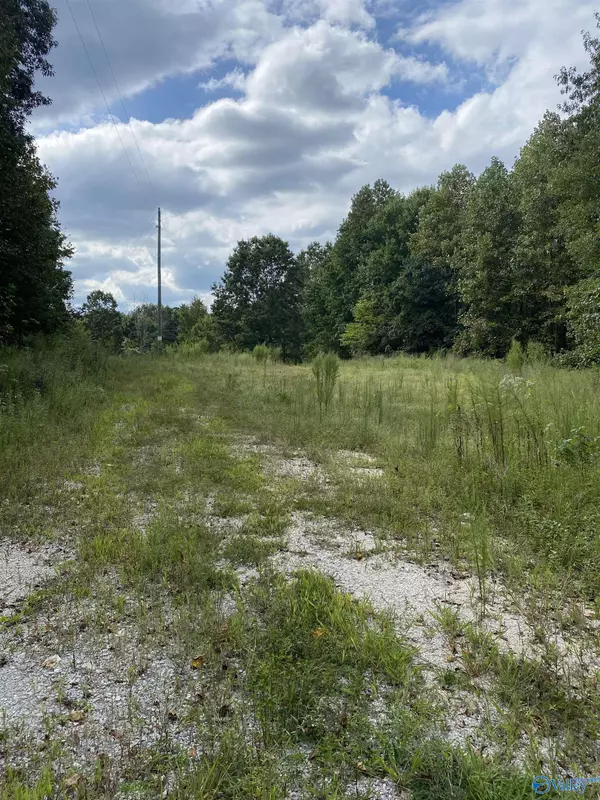 2657 County Road 712, Henagar, AL 35978