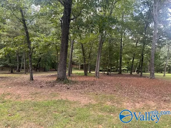 New Market, AL 35761,254 Cee Jay Lane