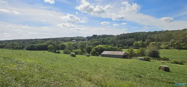 Bryant, AL 35958,14334 County Road 91