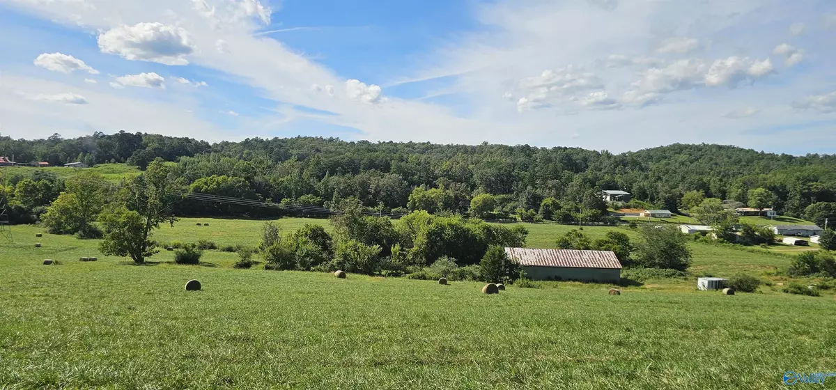 Bryant, AL 35958,14334 County Road 91