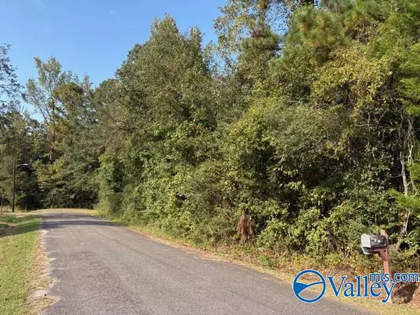 1428 Cove Creek Drive, Glencoe, AL 35905