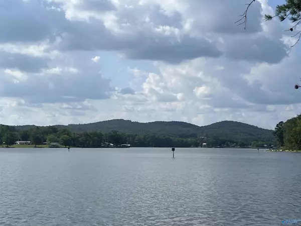 Cedar Bluff, AL 35959,975 County Road 251