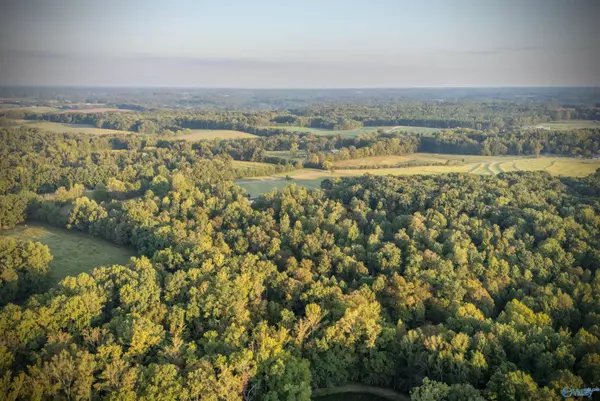 Anderson, AL 35610,TRACT 4 County Road 503