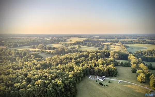 Anderson, AL 35610,TRACT 4 County Road 503