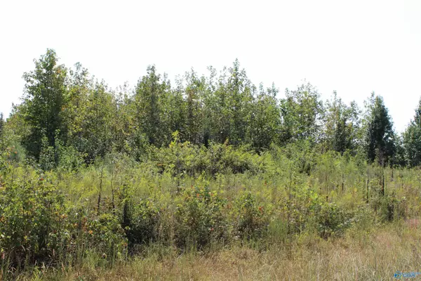 Dutton, AL 35744,1.0 acre Alabama Highway 71