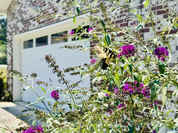 Southside, AL 35907,2118 Broughton Spring Road