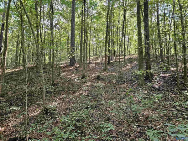 Gallant, AL 35972,18 ac Pleasant Valley Road