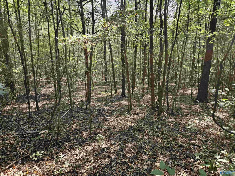 18 ac Pleasant Valley Road, Gallant, AL 35972