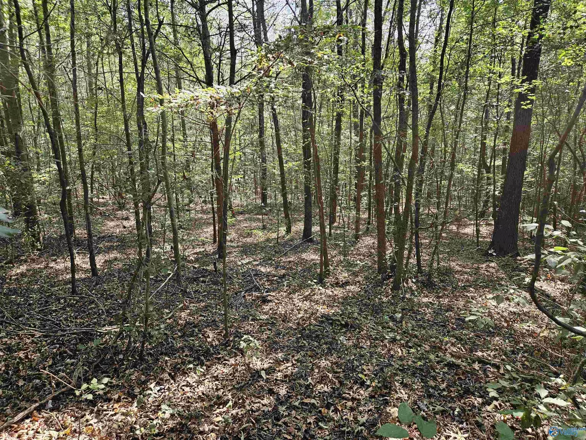 Gallant, AL 35972,18 ac Pleasant Valley Road