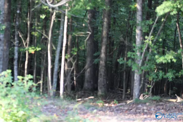 1805 County Road 103 #Lot 47, Mentone, AL 35984