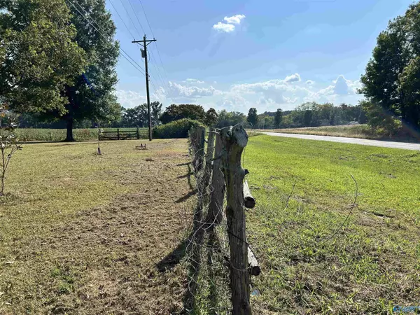 Collinsville, AL 35961,11684 US Hwy 11