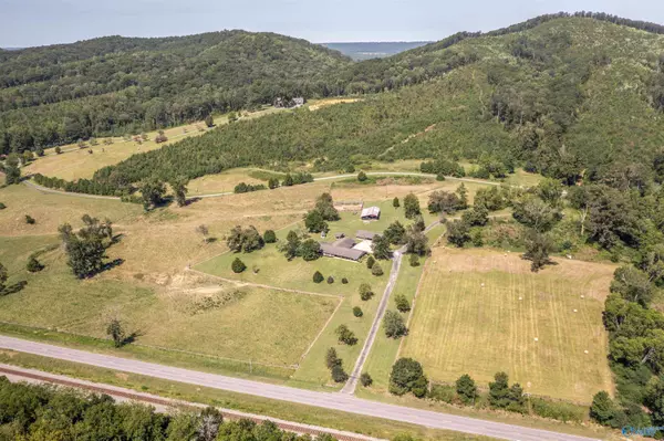 Attalla, AL 35954,4294 US Highway 11 N