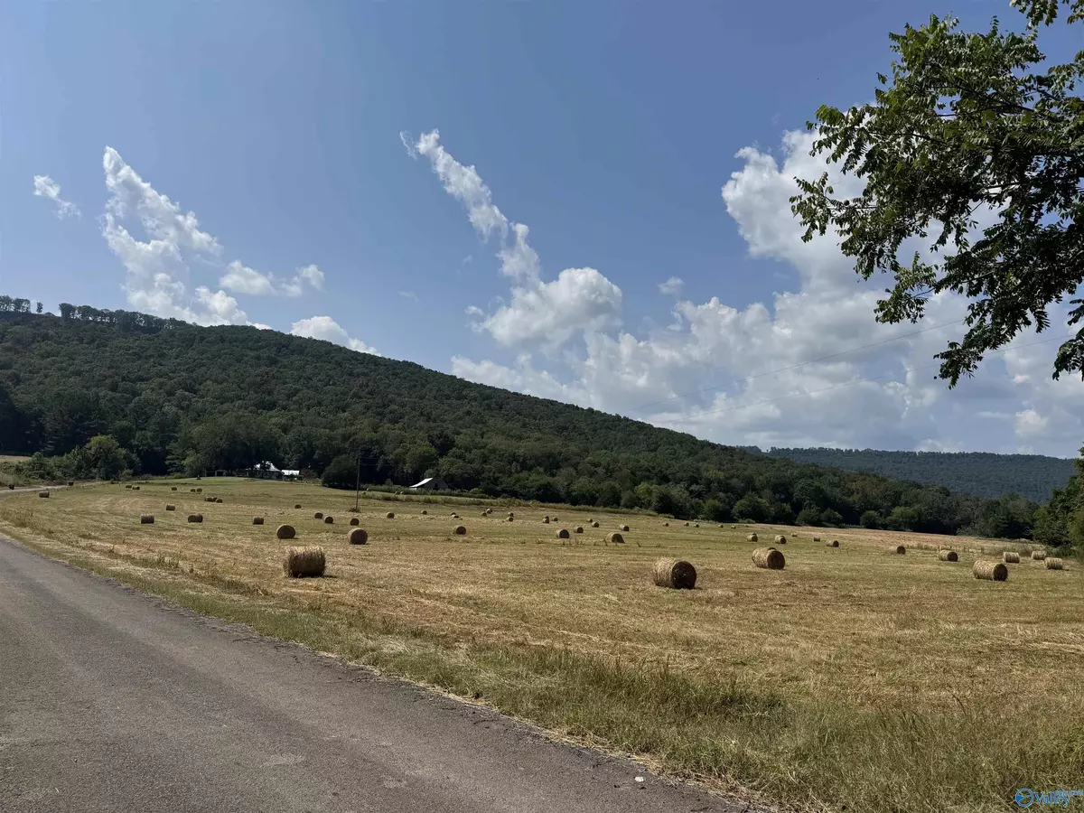 Woodville, AL 35776,356 County Road 526