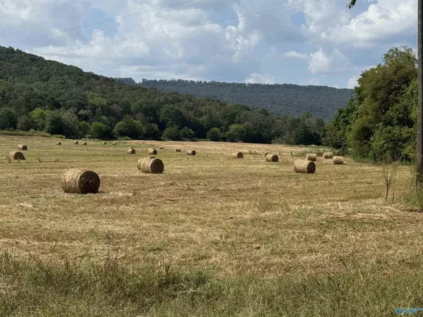 Woodville, AL 35776,356 County Road 526