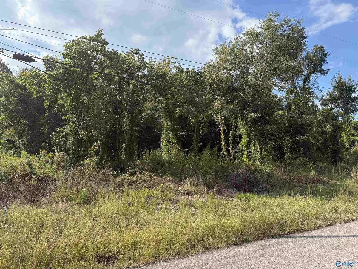 Gadsden, AL 35904,3.9 Acres Bishop Road