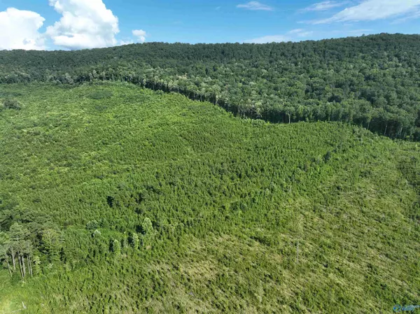 Cedar Bluff, AL 35959,6724 County Road 80