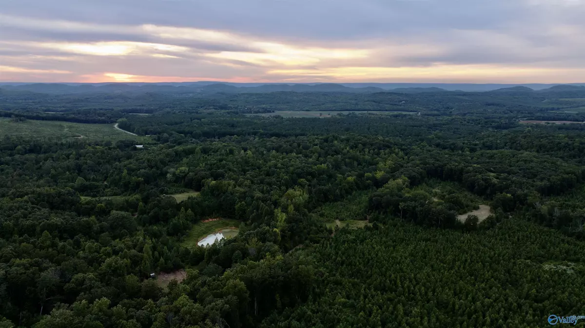 Cedar Bluff, AL 35959,6724 County Road 80