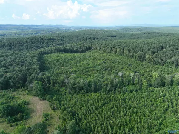 Cedar Bluff, AL 35959,6724 County Road 80