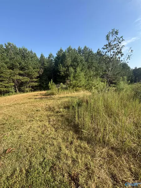 277 County Road 285, Muscadine, AL 36269