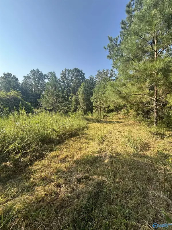 Muscadine, AL 36269,277 County Road 285