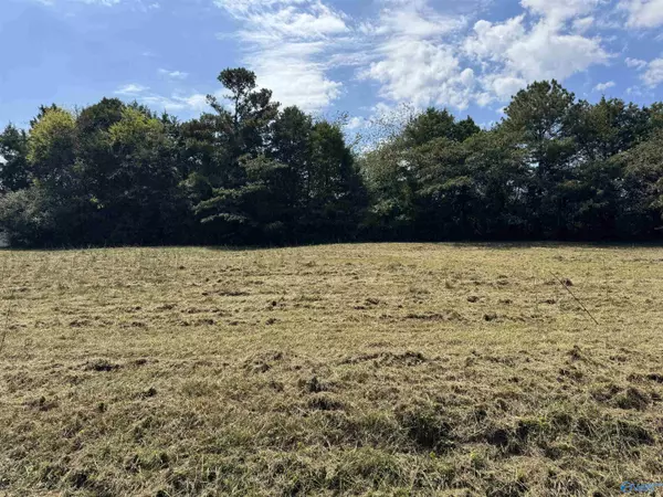 Gaylesville, AL 35973,120 County Road 726