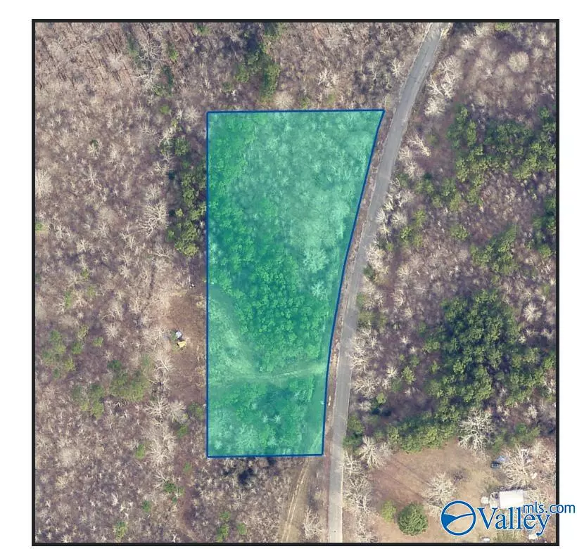 Danville, AL 35619,3 ACRES County Road 84