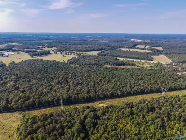 Mount Hope, AL 35651,98 Acres County Road 23