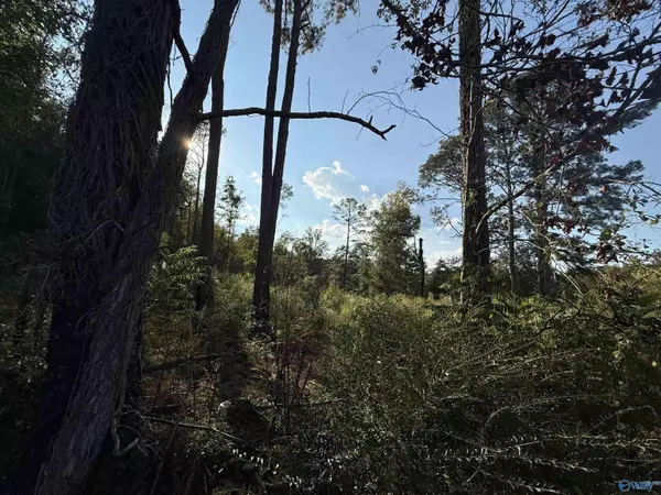 Altoona, AL 35952,1.46 Acres 2nd Avenue