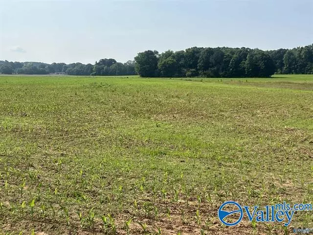 Harvest, AL 35749,Tract 1 Old Railroad Bed Road