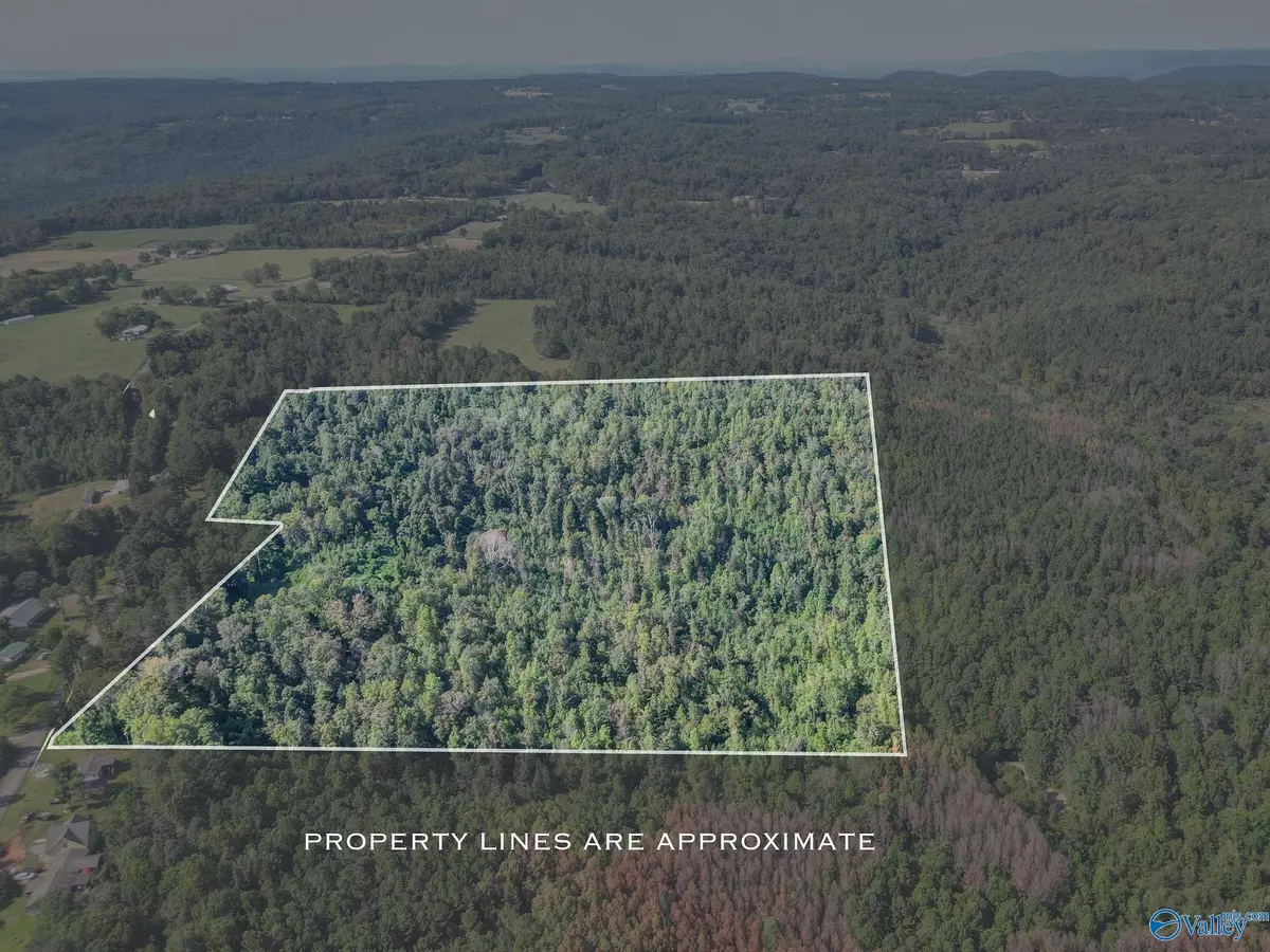 Union Grove, AL 35175,35 ACRES Pine Ridge Road