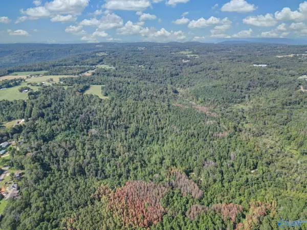 Union Grove, AL 35175,35 ACRES Pine Ridge Road