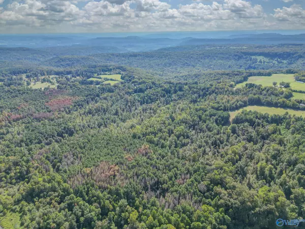 Union Grove, AL 35175,35 ACRES Pine Ridge Road