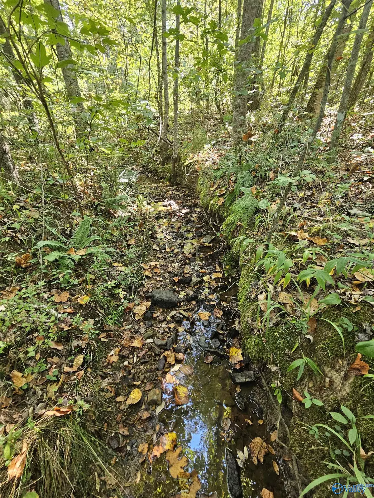 Jacksonville, AL 36265,001 Gunnells Road