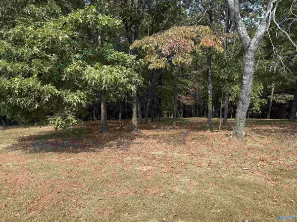 Glencoe, AL 35905,.5 Acres Jimmy Drive