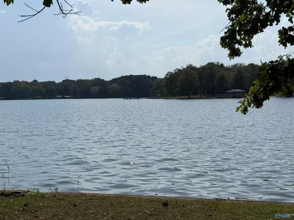 Cedar Bluff, AL 35959,35 County Road 667