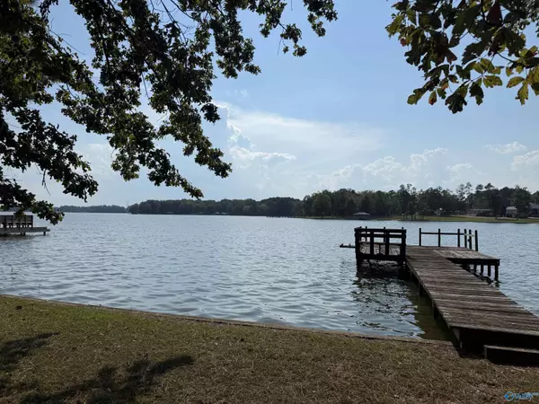 Cedar Bluff, AL 35959,35 County Road 667