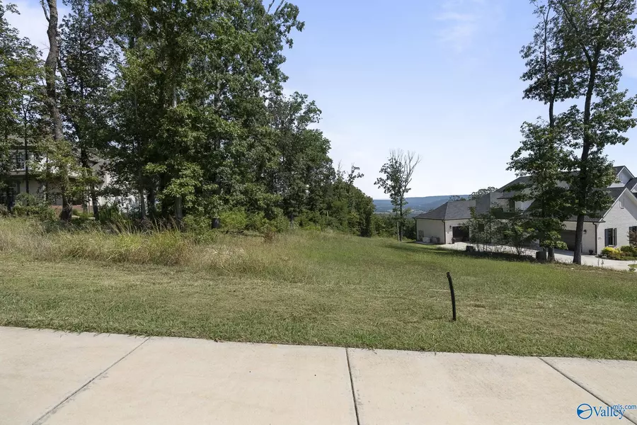 14 Watson Grande Way, Owens Cross Roads, AL 35763