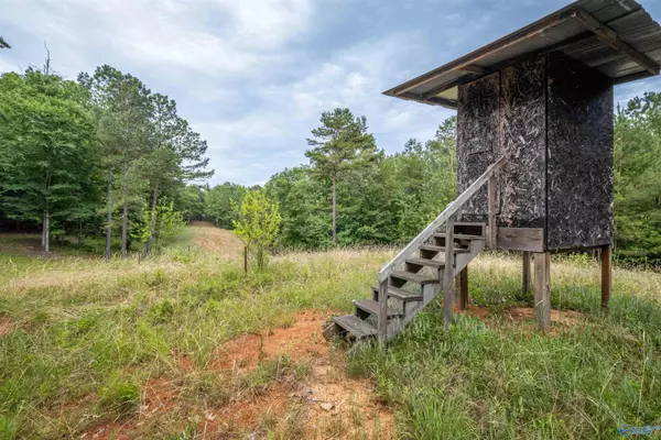 Gadsden, AL 35901,7805-B Owls Hollow Road