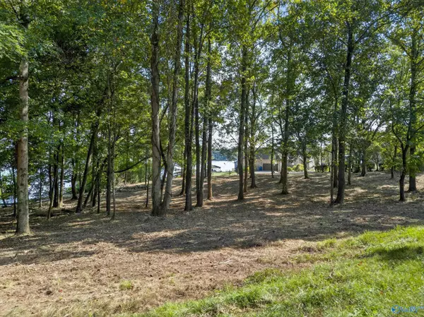 Rainbow City, AL 35906,Lots 24-25 Riverton Drive